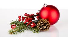 Christmas Orniments